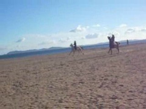 Galop plage janvier tiff manon