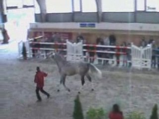 Padock du Plessis Rosieres 2009