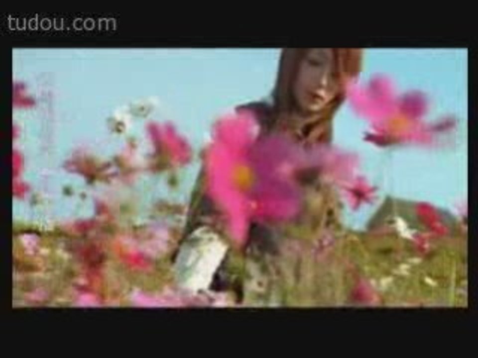 Jay Chou_Hua Hai Flowers Ocean