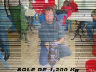 VIDEO POISSONS CONCOURS