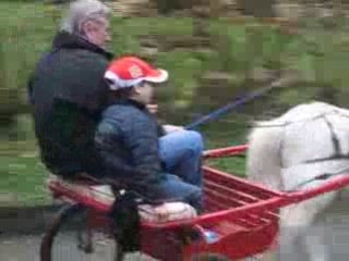 Roméo, Yanis, grand-père avec crin blanc