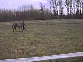 Umara à pied et en main