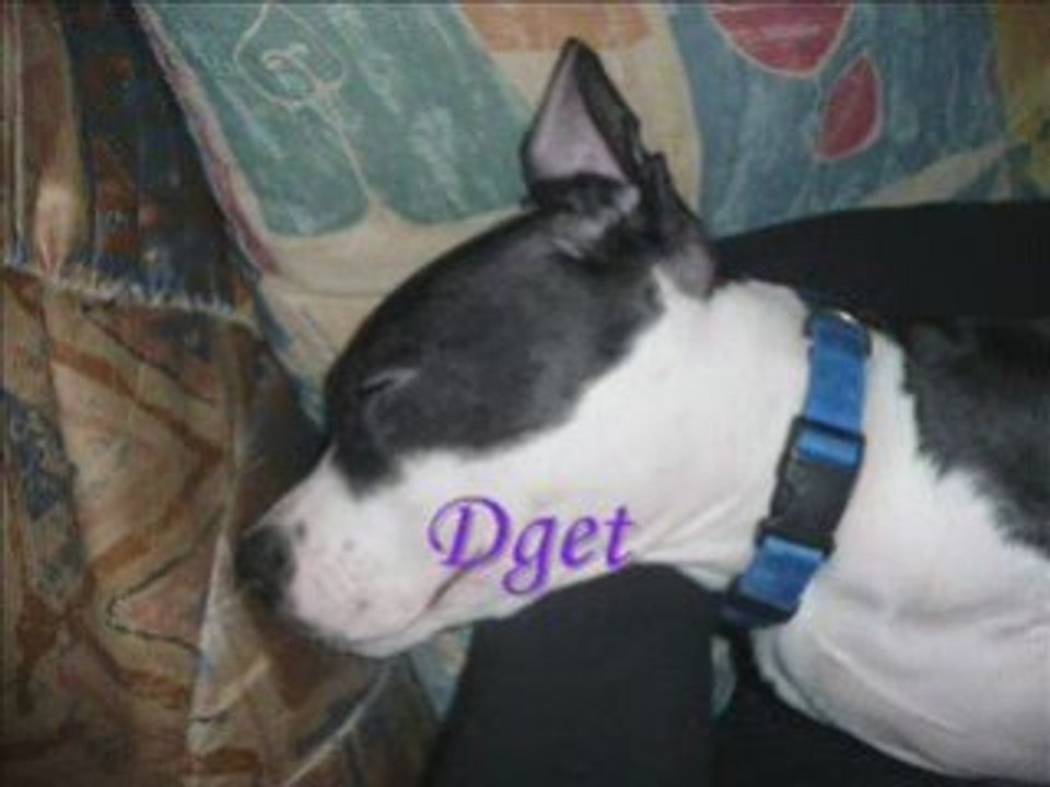 Les petits monstres attaquent