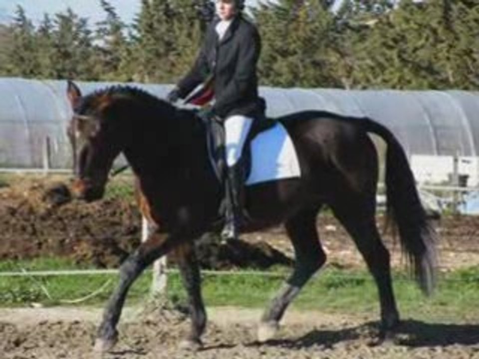 Concours berre2