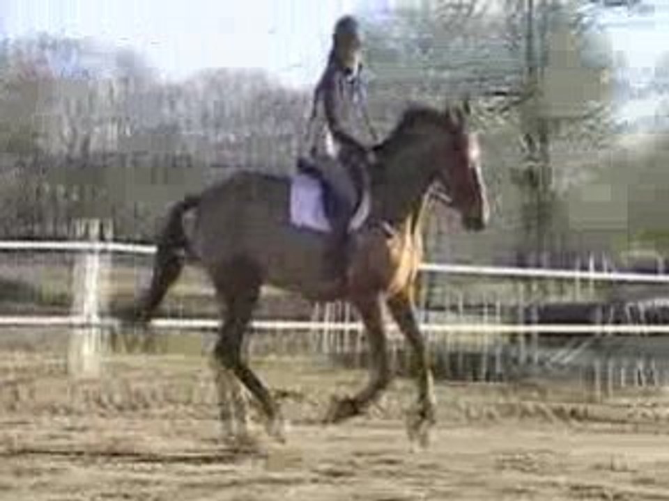 MOV088