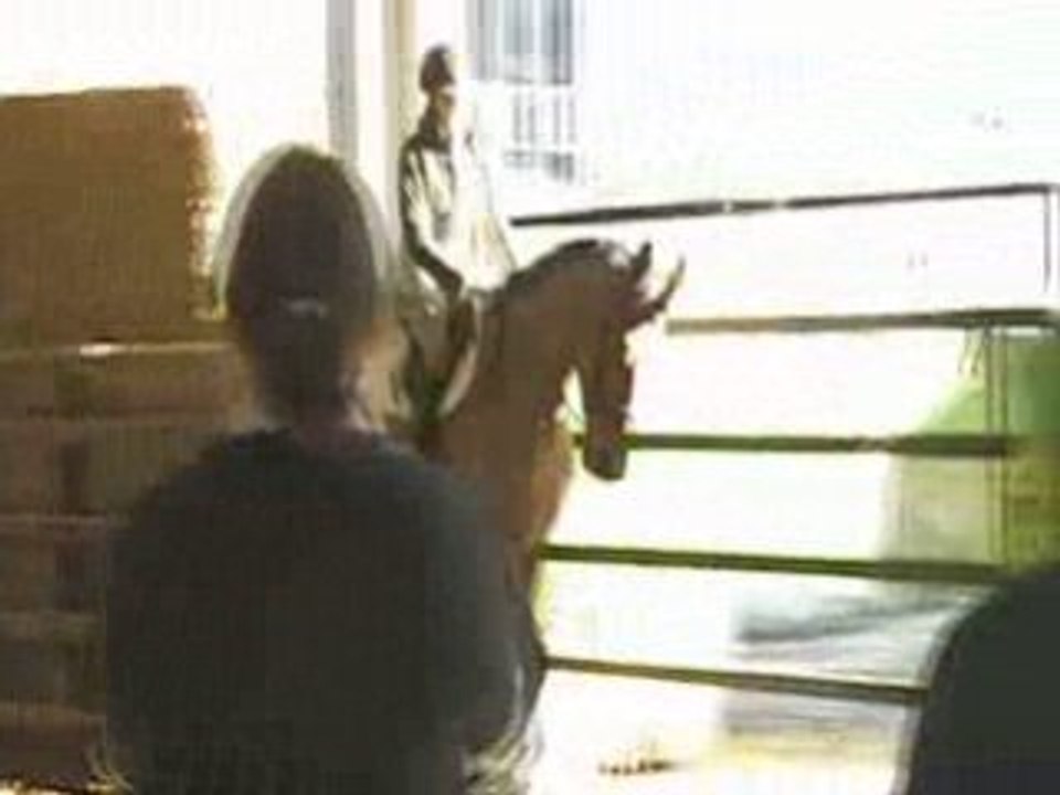 MOV079