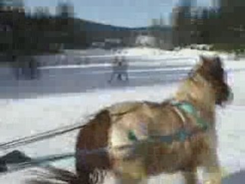 Ski-joering avec Franck