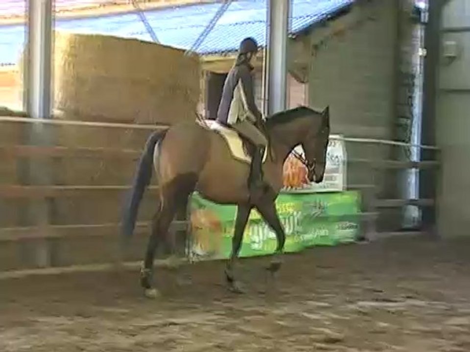 MOV078