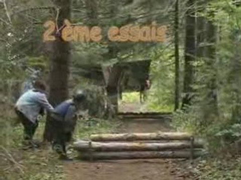 Papillon en parcours trec