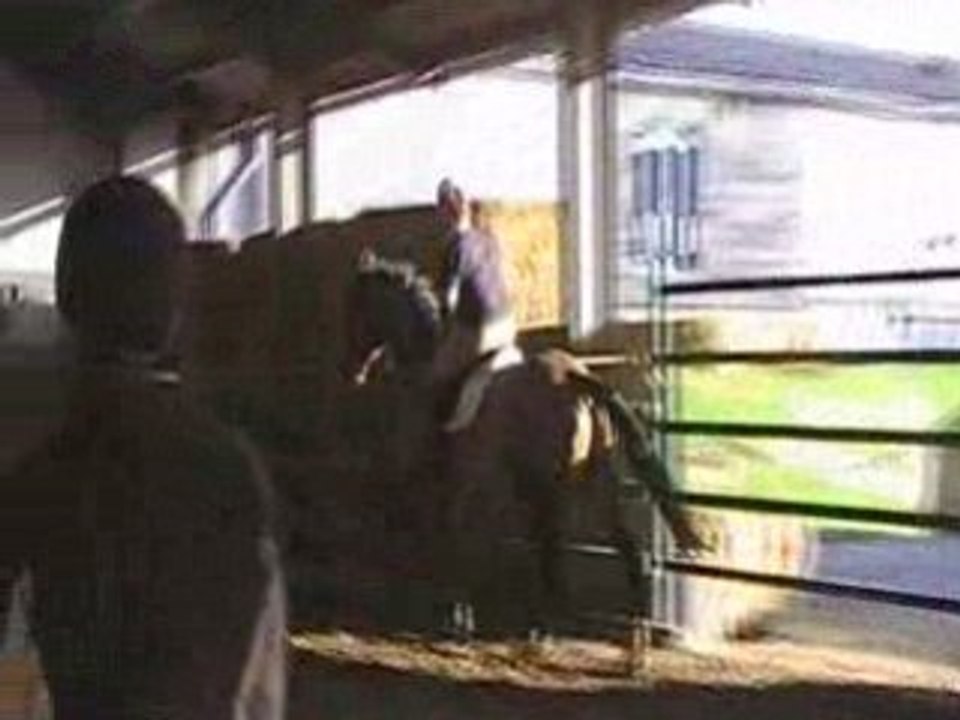 MOV073
