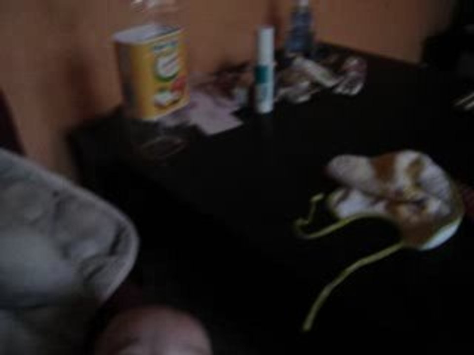 Luna rie aux éclats 6 mois