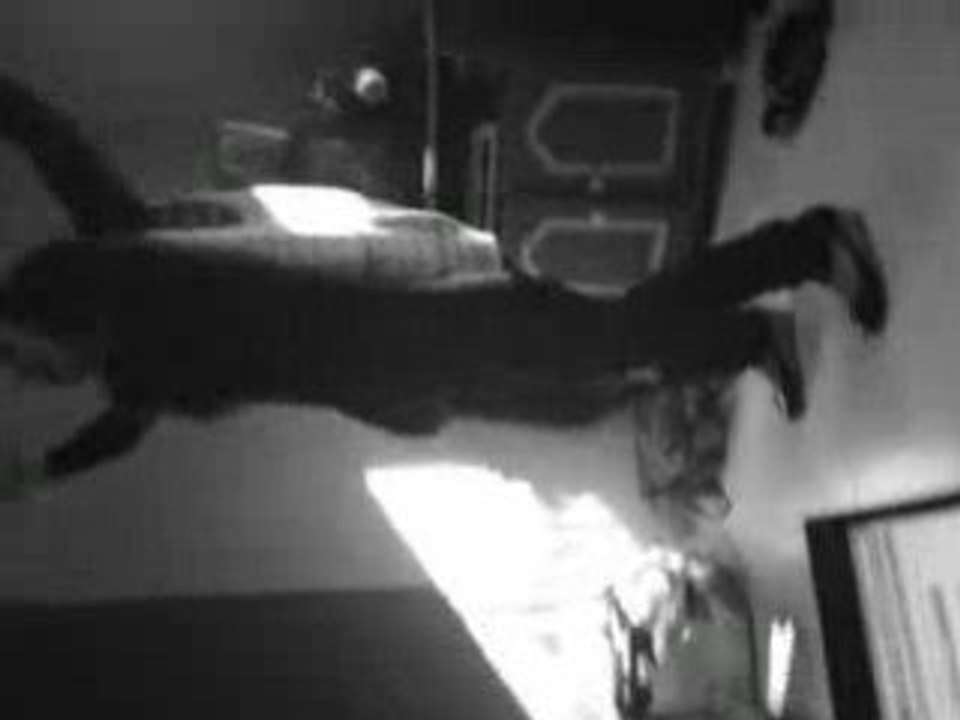 MOV00133