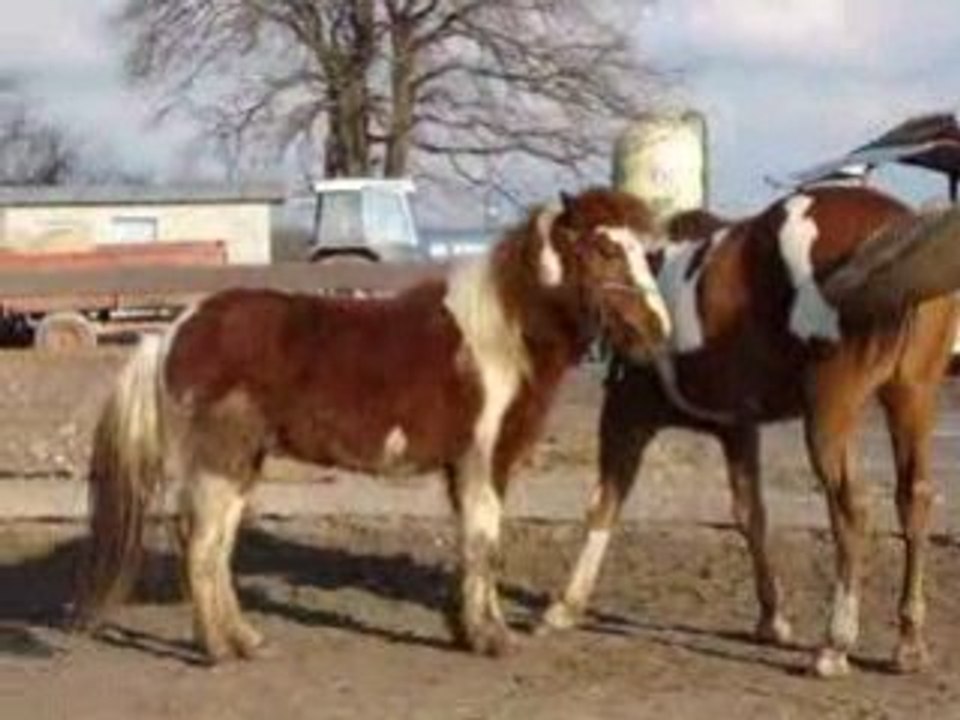 rencontre Magnum et Tonnerre