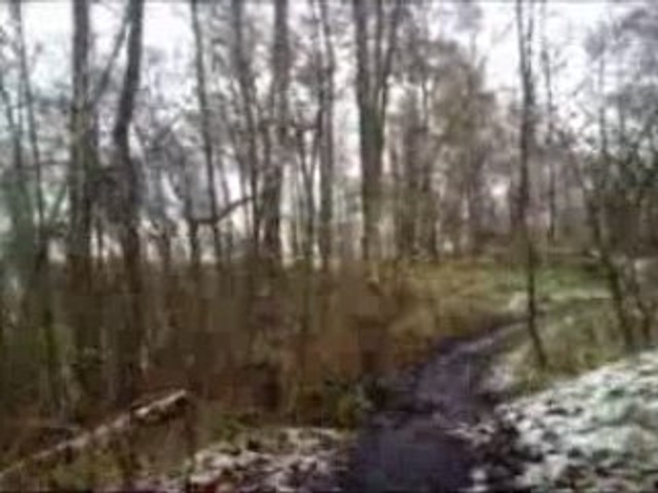 Orchies2