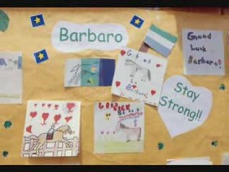 Barbaro