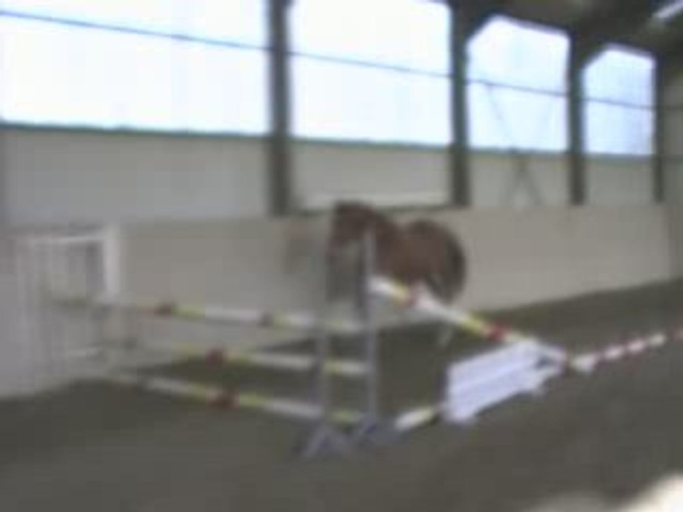 MOV06B