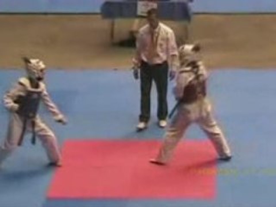 TaeKwonDo JPS - Quart et Demi-Finale Alison 07-02-2009