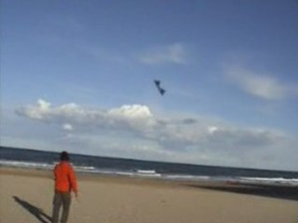 REVOARACNIDA KITE