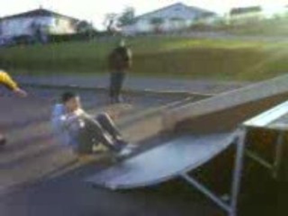steve-o en skate