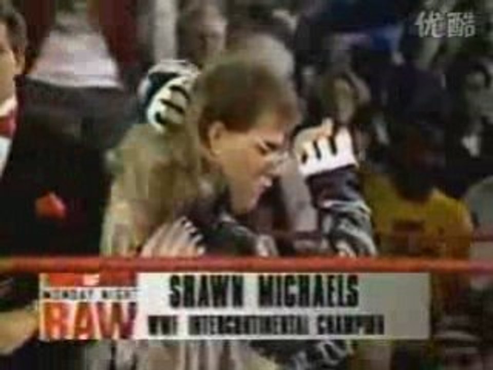 RAW 19930517 2