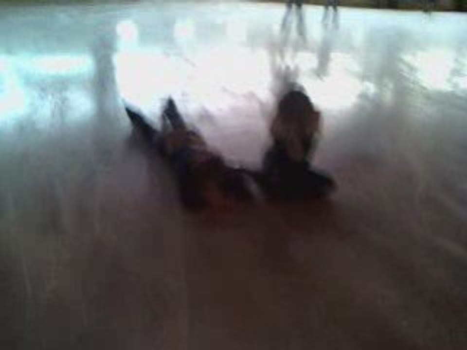 Patinoire
