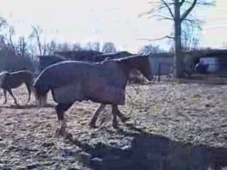 Défi loisir ffe n°15