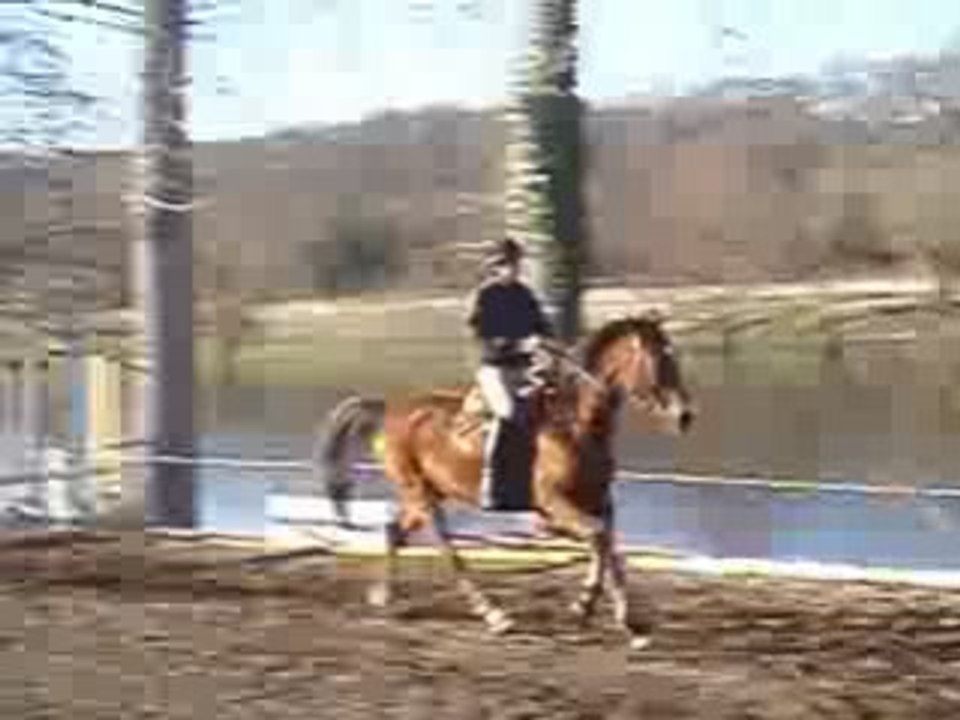 090214_ mise en selle 2