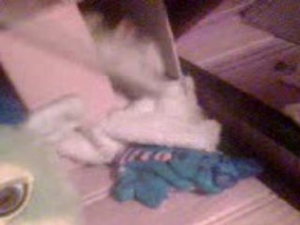 mon rat et sa paille