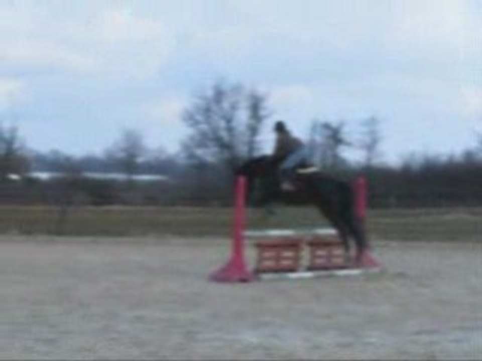 1er parcour d'obstacle pour mon cheval