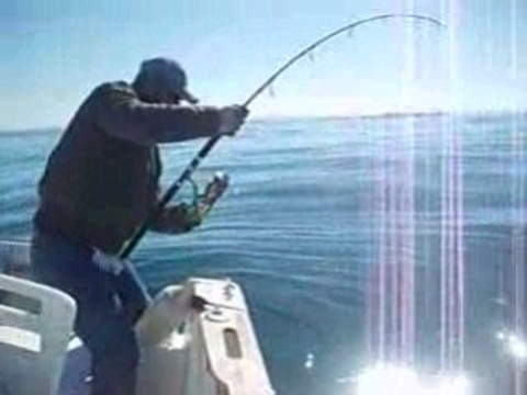 sofiane jigging un pagre de 8kg