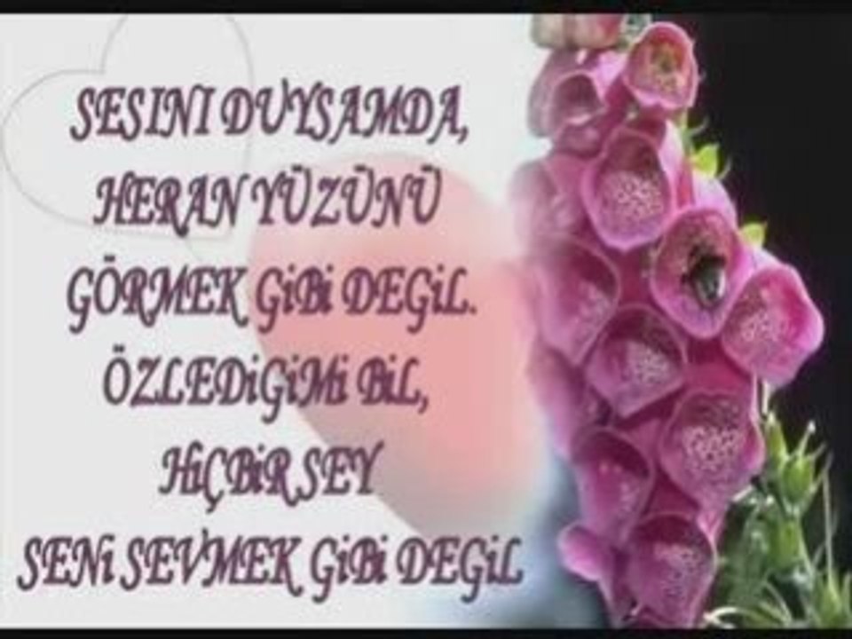 Mersinli Ismail Bir Elmann Yars