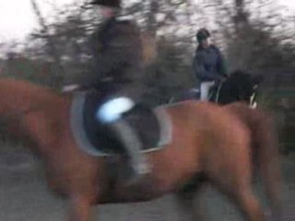 Fleuron et margaux