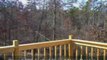 Lake Hartwell Real Estate HORSE FARM for Sale Real ...