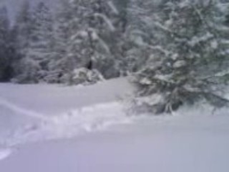 Backflip by me