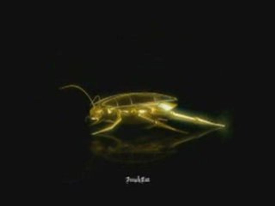 Video VA - On ne sait pas abandonner -