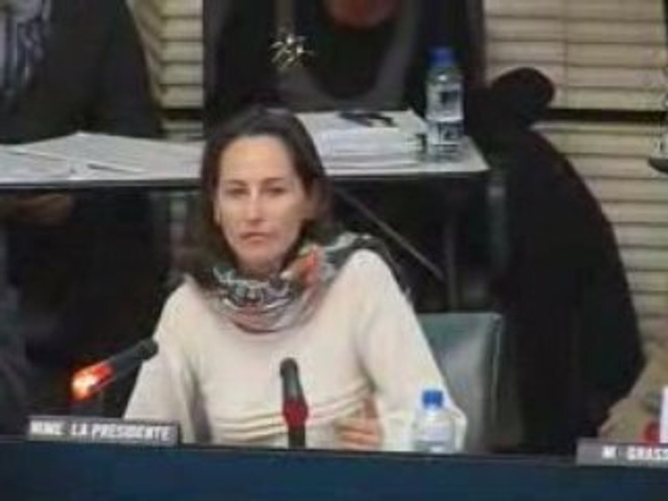Ségolène Royal défend son plan photovoltaïque régional