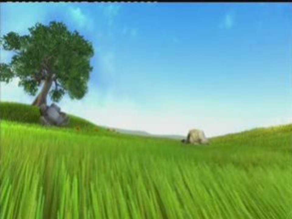 Video test flower