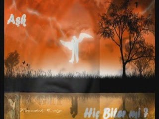 KÜÇÜK YAZ ÇİÇEĞİM, CAN SEVDİCEĞİM - ZEKİ YÜNCÜOĞLU - ŞİİR