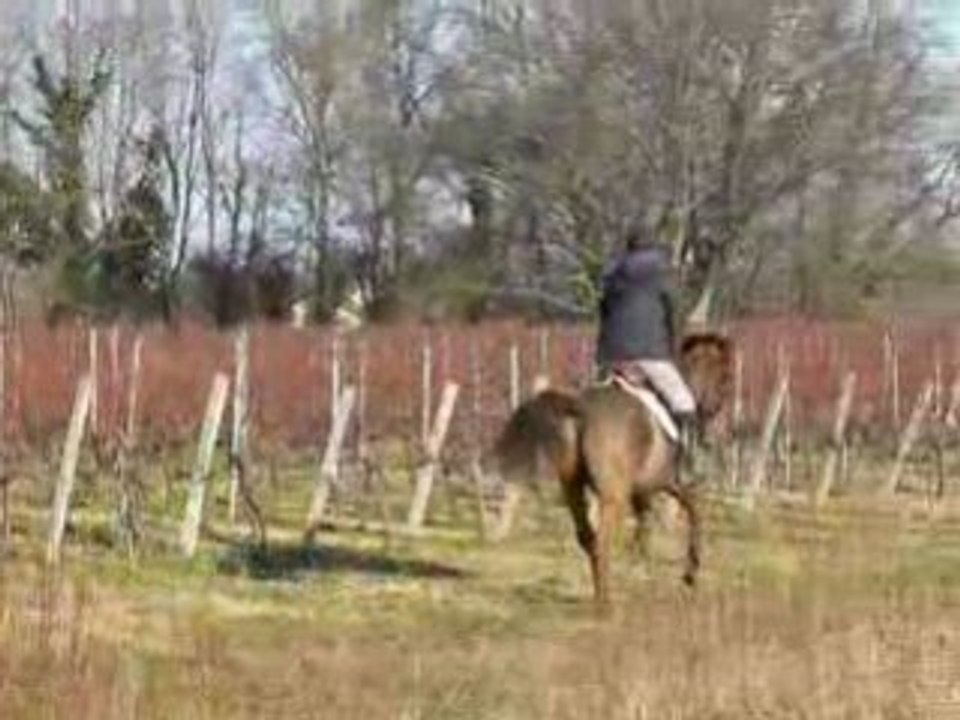 charly galop