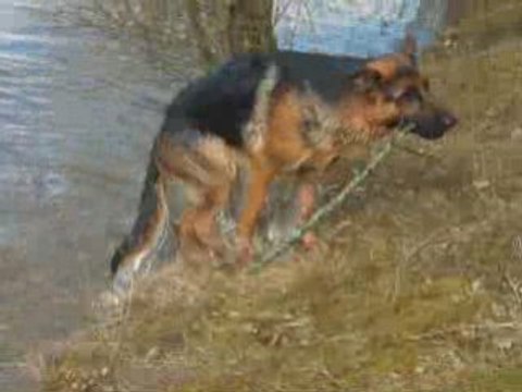 Dayak 14 février 2009_0001