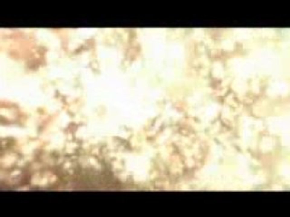 Resident Evil 5 - Le scénario à l'honneur