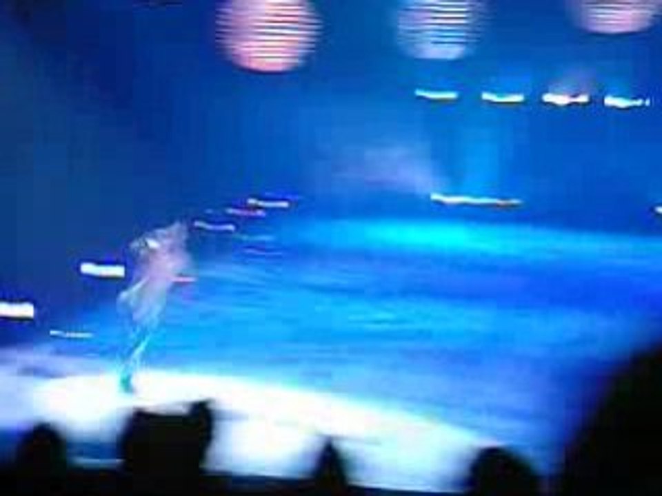 holiday on ice 2009 (4)