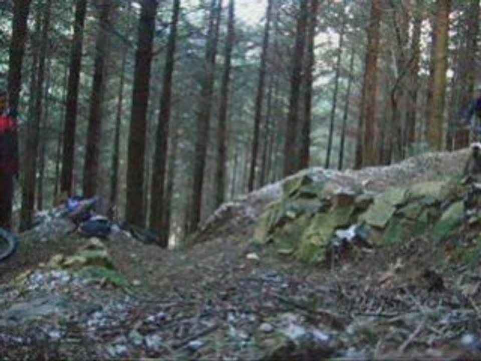 FreeRide