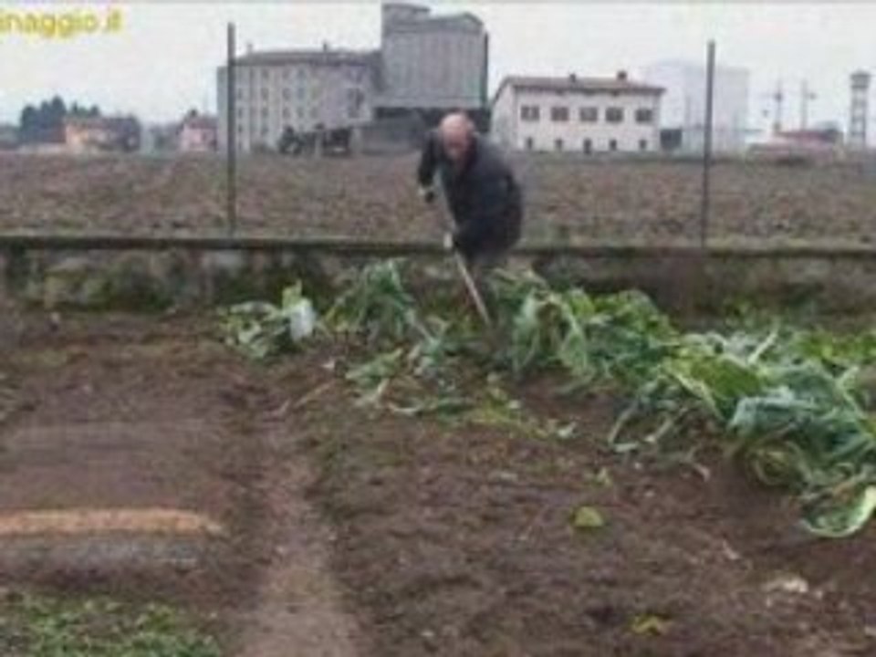 Potatura pulizia invernale