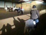 dressage d'un poney taitu