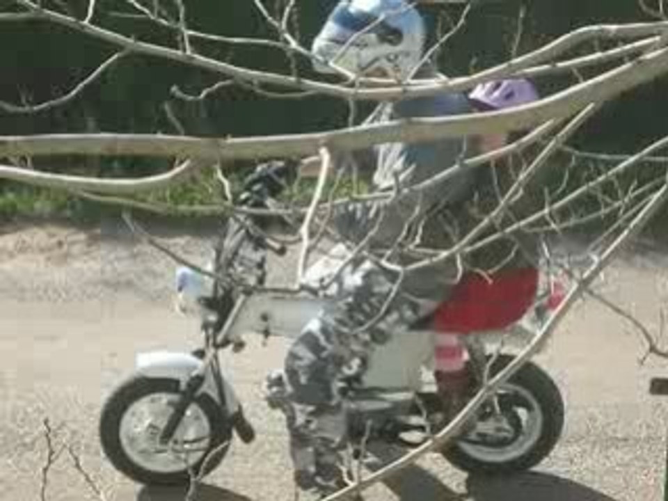 Honda dax