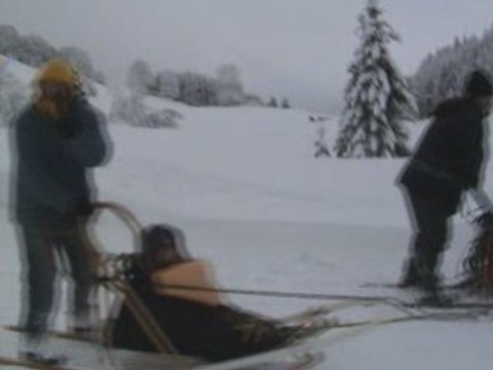 bapteme en traineau dans le jura (la pesse)