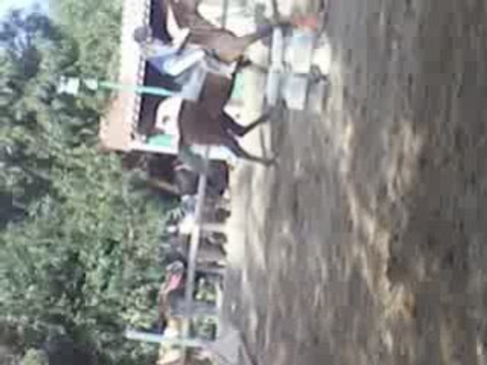 spirit obstacle