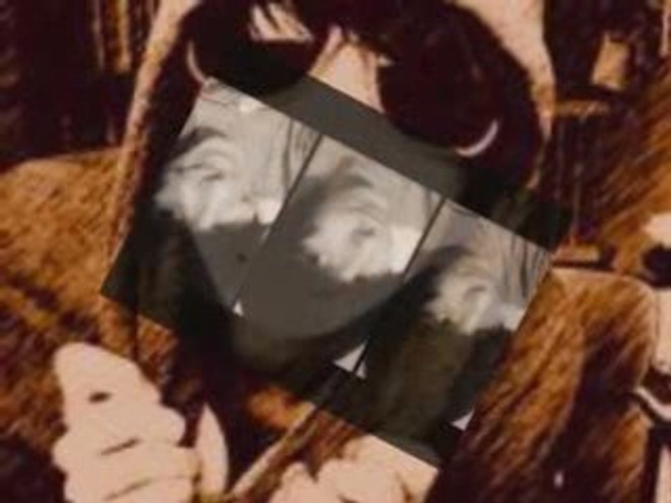 Fanvideo über Juan aus ( DsDs )