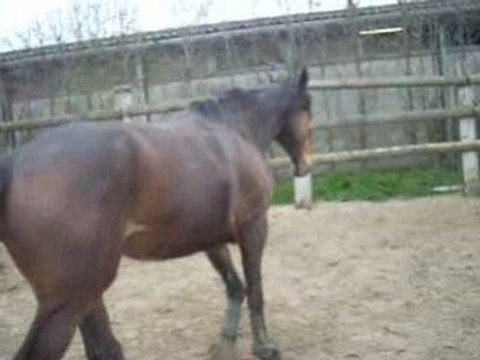 OR 2008 04 05 Liberte 01